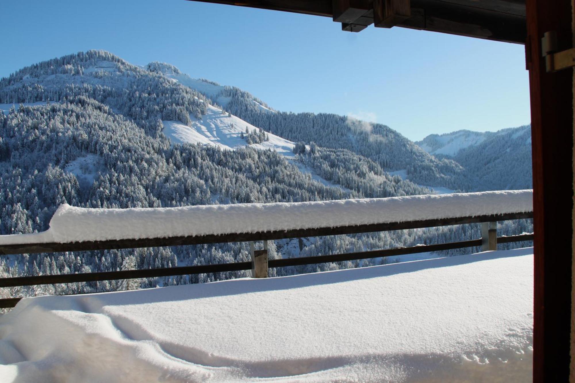 Appartement Isolde Dornbirn Dış mekan fotoğraf